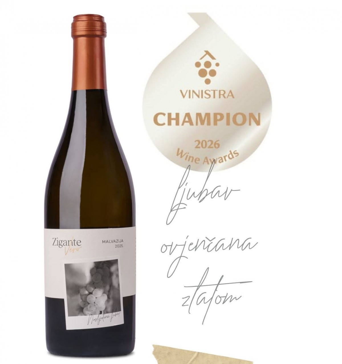 Malvasia Istrian, Vina Zigante