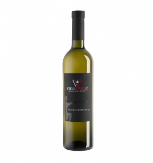 Muscat white from Momjan, Vina Prelac